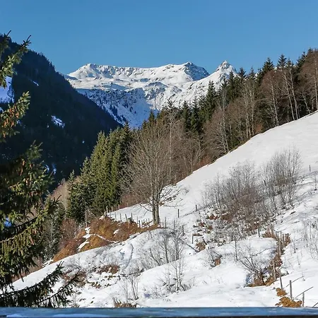 Appartementhaus Tannenberg アパート
